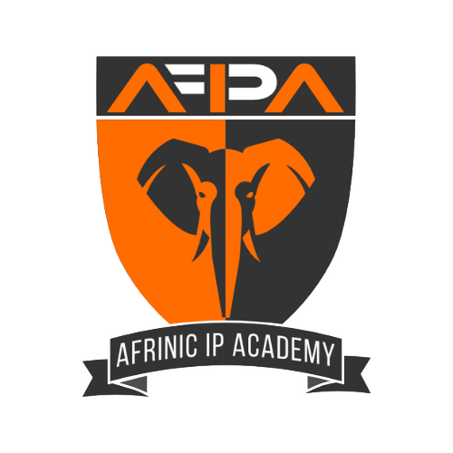 afrinic training academy logo