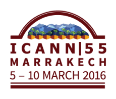 icann55 marrakech logo 300x255 230x196